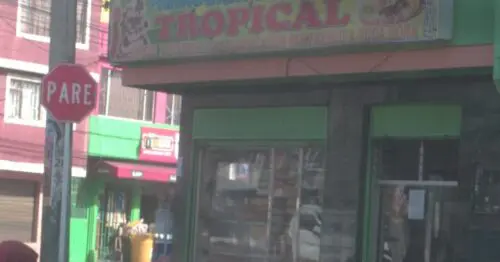 PANADERIA Y FRUTERIA TROPICAL PANADERIA Y FRUTERIA TROPICAL